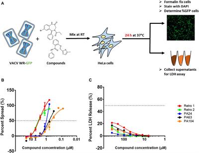 Discovery of Retro-1 Analogs Exhibiting Enhanced Anti-vaccinia Virus Activity